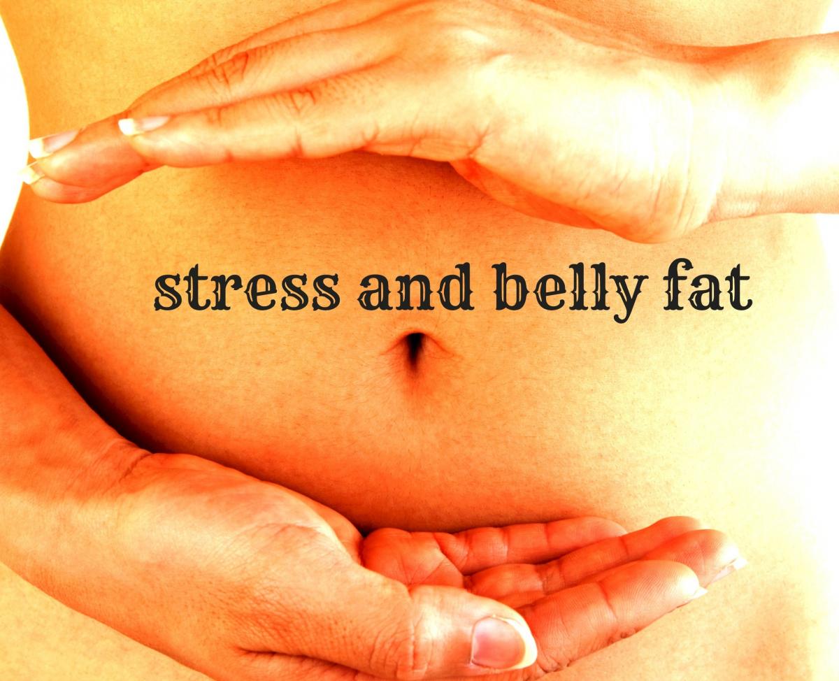 Stress and belly fat